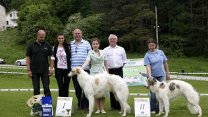 Руска хрътка бе избрана за найдобро куче на състезание