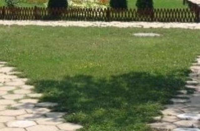 Няма бум на ухапани от кърлежи във Варненско