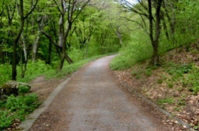 Над 30 души се пробват да минат 100 км за 24 часа