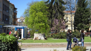 Раздават информационни книжки за Шенген