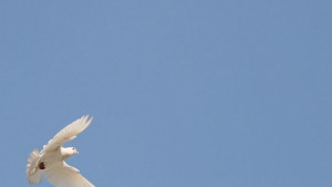 Църквата отбелязва Свети дух