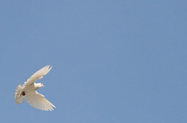 Църквата отбелязва Свети дух