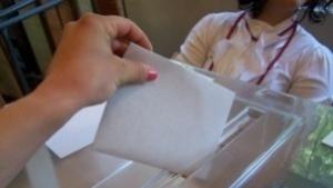 Не е имало наплив на роми на синия вот във