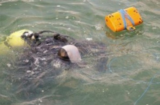 Спасители на плажа