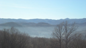 Избиват грабливи птици