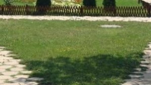 Приключи дезинсекцията на зелените площи в община Враца