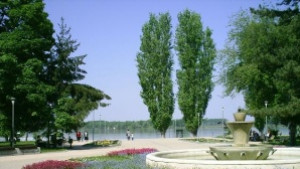 Деца за малко да подпалят парка в Силистра