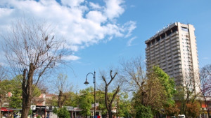 Цветята на Варна разцъфват на Севастопол