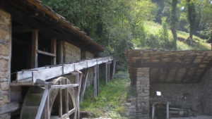 Еньовден на Етъра