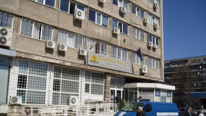 Пуснаха под гаранция собственик на наркооранжерия