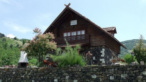 Сватбуващи лопатари в интернет или на лов за емоции в