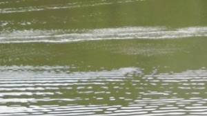 Провериха басейните в габровска област