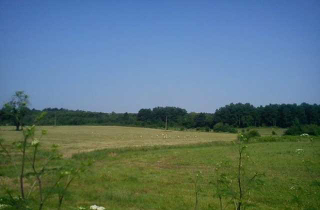 Остава слънчево и топло