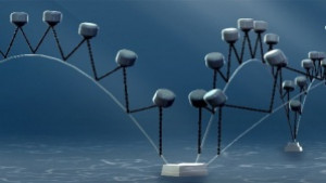 Изкуствен мидарник може да пречиства крайбрежните води