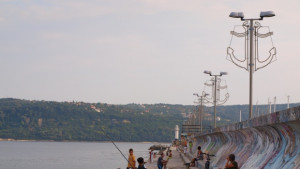 Няма глобени за маломерна цаца във Варна