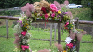 Еньова амброзия ще покажат на Етъра за Еньовден