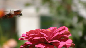 Топло и слънчево