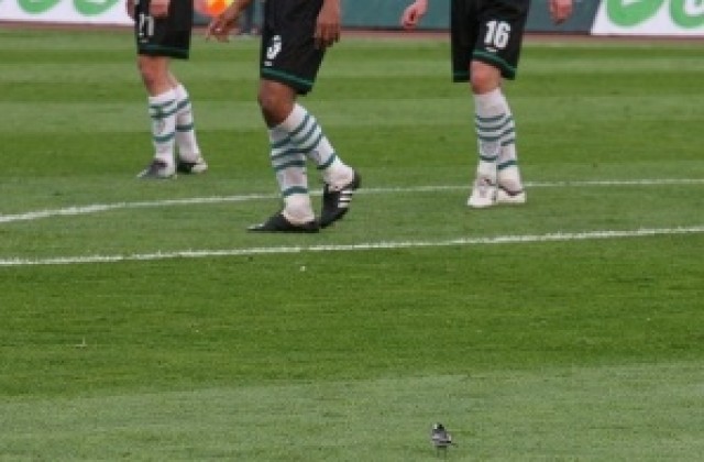 Капитанът на Добруджа започва с Черно море