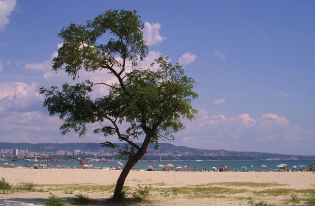 Обявен е жълт код за Варна, очаква се силен вятър