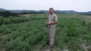 Билки не за цяр а за цвят или как се