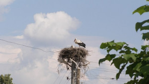 Променлива облачност