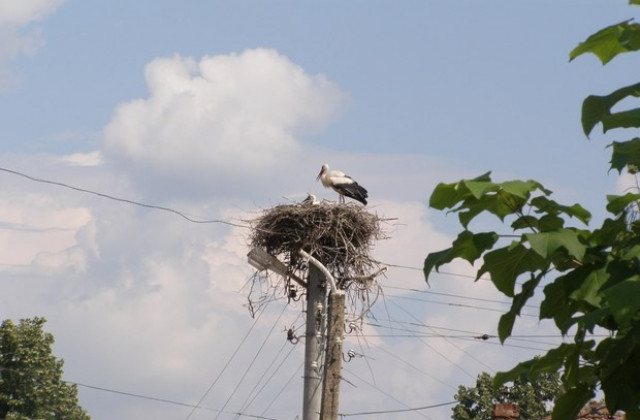 Променлива облачност