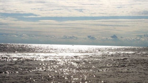 Дискутират развитието на транспортните връзки у нас