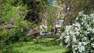 Найниските температури през юли ще са между 10 и 15