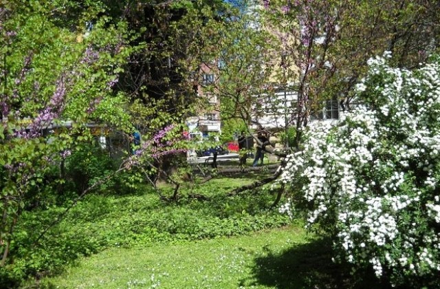 Най-ниските температури през юли ще са между 10 и 15 градуса