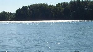 Асансьор за есетрови риби