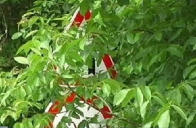 Косене на треви за... 605 000 лева