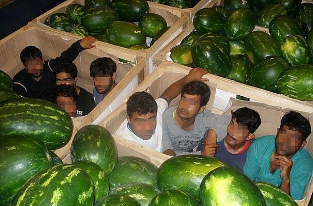 Граничари намериха осем афганистанци в палети с дини