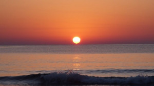 Отмениха рокконцерта за Джулая