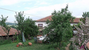 Крави или апартамент за избора на хората тръгнали да гледат