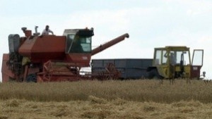 320 кг от декар добив на ечемик в областта