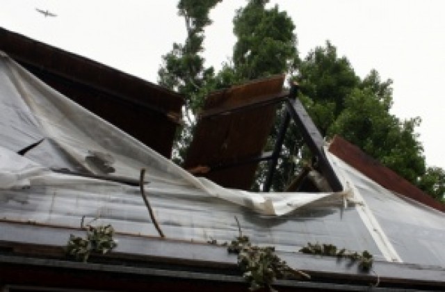 Топола се стовари върху заведение на плажа