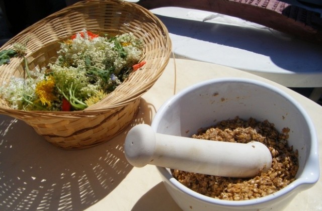 Като излекуваме Земята, ще излекуваме и тялото, смята известен лечител