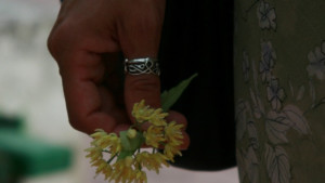 69 акта за безогледно бране на липов цвят