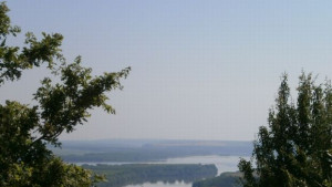 Ниското ниво на Дунав доведе до понижение броя на птиците