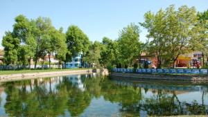 Монтанчани се грижат за корморан рибата в Монтанезиум не му