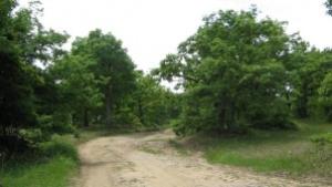 ОДС 2 кани десницата в Бургас на обединителен танц тя
