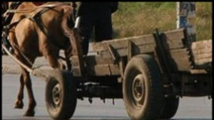 Автобус удари каруца