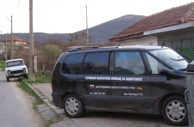 Отхвърлиха иска на русенка за права върху кучето Мима