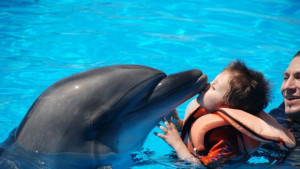 Очакват ни рекордни жеги в следващите дни