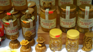 Иван Жабов наймлад пчелар на Деветия национален пчеларски събор