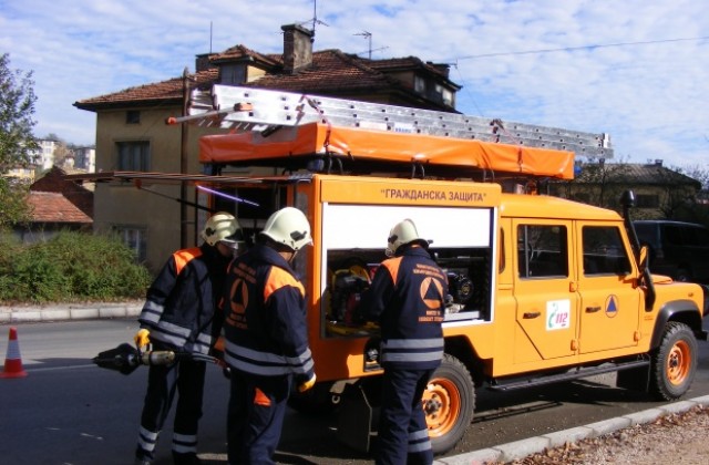 Намериха змия в къща в Зелено дърво