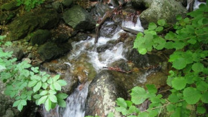 Остава слънчево