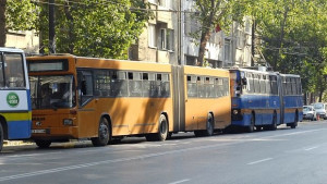 43градусова жега мори столичани в градския транспорт