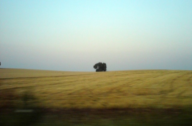 120 дка житни култури изгоряха в монтанско