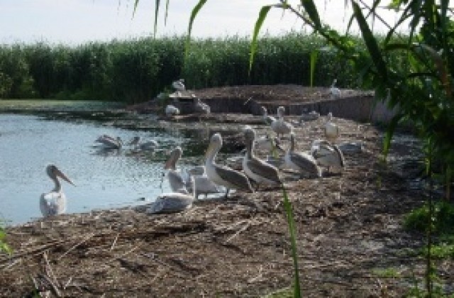 Отвори врати музеят в резервата „Сребърна”